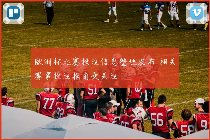 欧洲杯比赛投注信息整理发布 相关赛事投注指南受关注