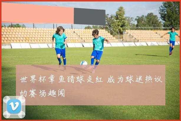 世界杯章鱼猜球走红 成为球迷热议的赛场趣闻
