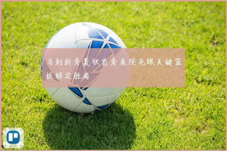 马刺新秀夏联首秀表现亮眼关键篮板锁定胜局